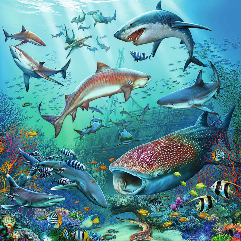 Ocean Life 3x49pcs Puzzle