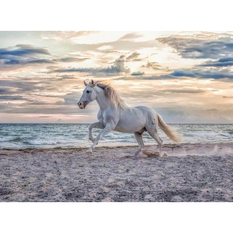 Evening Gallop 500pcs Puzzle