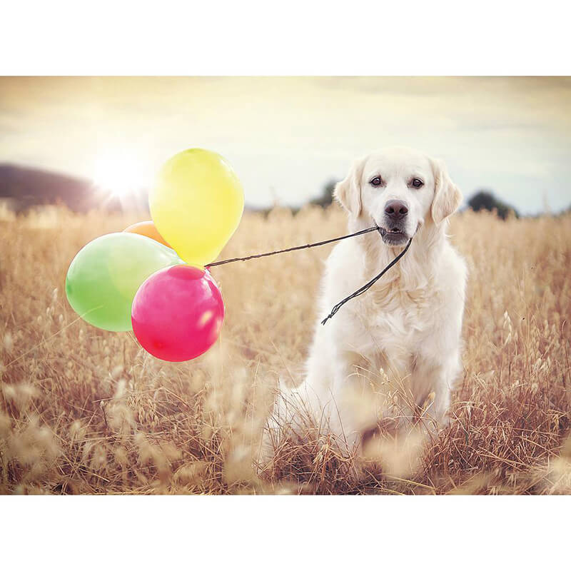 Balloon Party 500pcs Puzzle