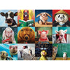 Funny Animals by Lucia Heffernan 1000pc Puzzle