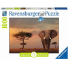 Elephant of the Massai Mara 1000pcs Puzzle