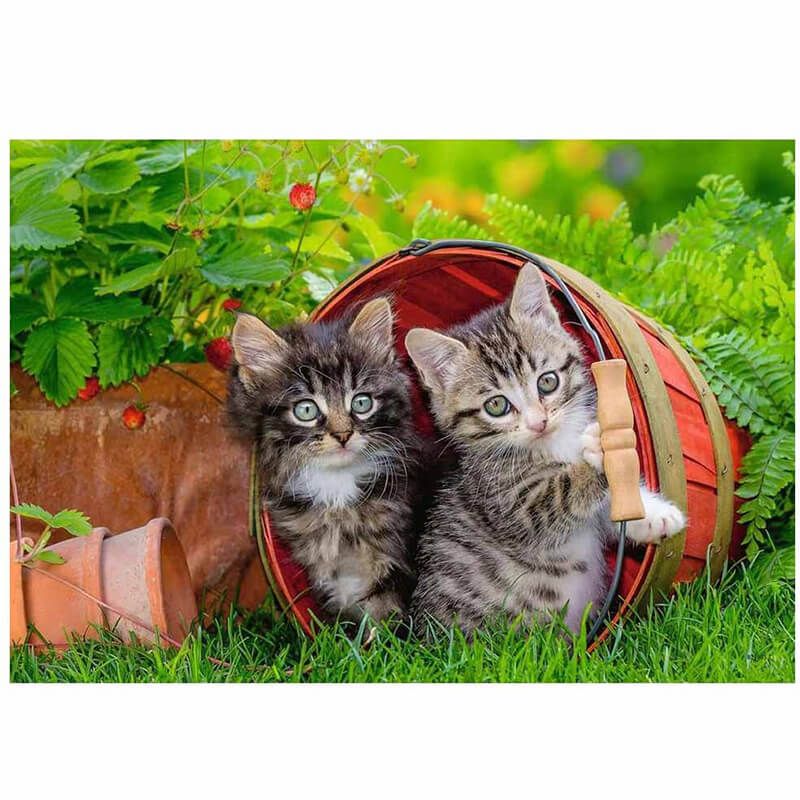Kitten Adventures 2x12pcs Puzzle