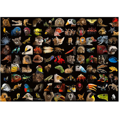 99 Stunning Animals 1000pc Puzzle