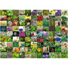 99 Herbs and Spices 1000pc Puzzle