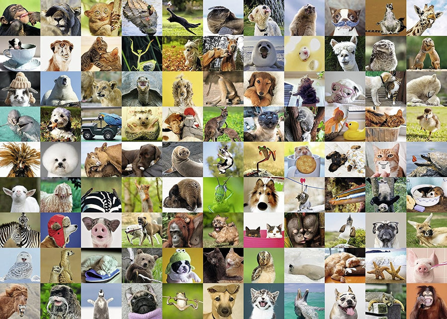 99 Funny Animals 1000pc Puzzle