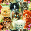 A Pile of Kittens by Giordano Studios 1000pc Puzzle