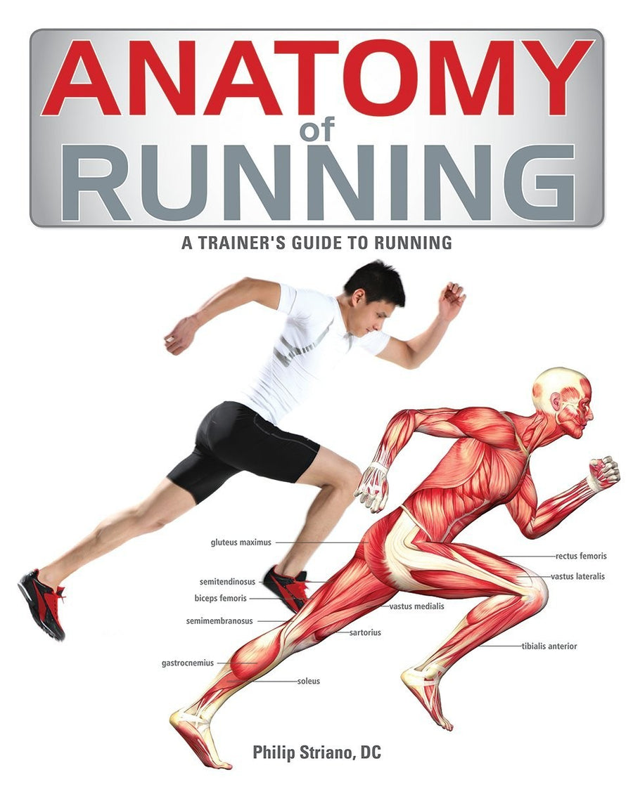 Anatomy of Running by Philip Striano