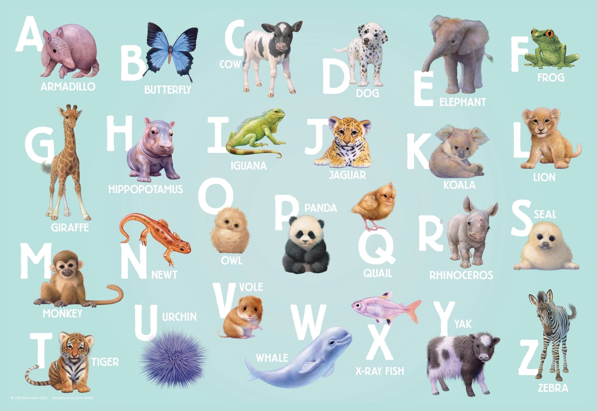 Animal Alphabet by John Butler 24pcs Super Sized Floor Puzzle