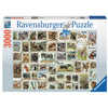 Animal Stamps 3000pc Puzzle