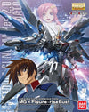 Bandai 1/100 MG Freedom Gundam Ver.2.0 & Kira Yamato G0216378