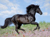 Beautiful Horse by Christiane Slawik 200pcs Puzzle