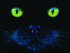 Black Cat by Charles Lynn Bragg 1000pc Puzzle