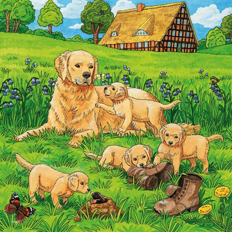 Cats & Dogs by Caryad 3x49pcs Puzzle