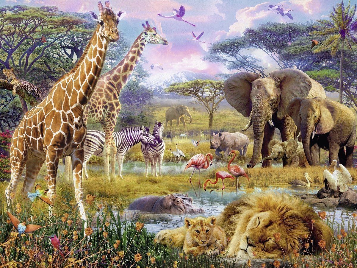 Colorful Africa by Jan Patrik Krasny 1500pcs Puzzle