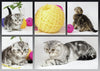 Curious Kittens 1000pcs Puzzle