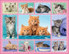Cute Kittens 100pcs Puzzle
