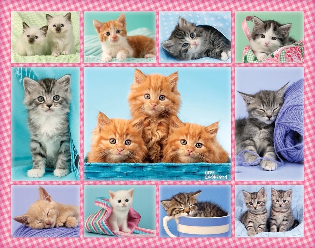 Cute Kittens 100pcs Puzzle