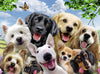 Delighted Dogs by Howard Robinson 300pcs Puzzle