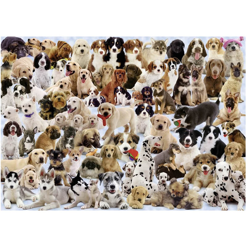 Dogs Galore! 1000pcs Puzzle