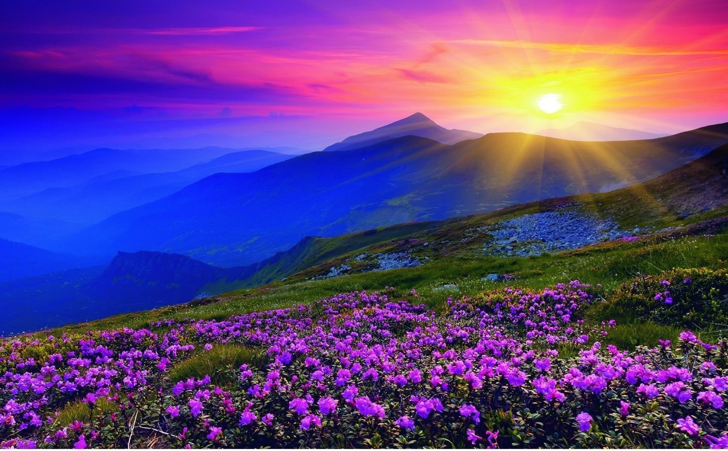 Early Morning Mountains 1000pcs Puzzle