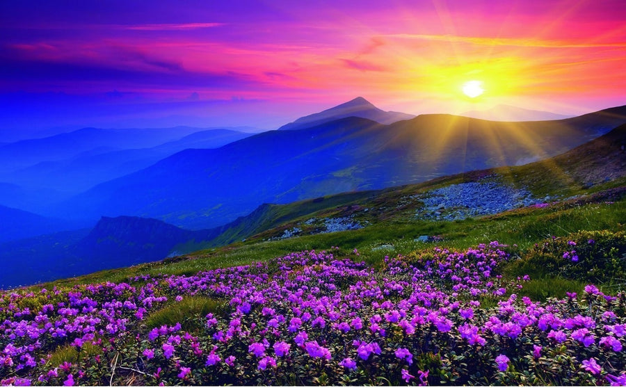 Early Morning Mountains 1000pcs Puzzle