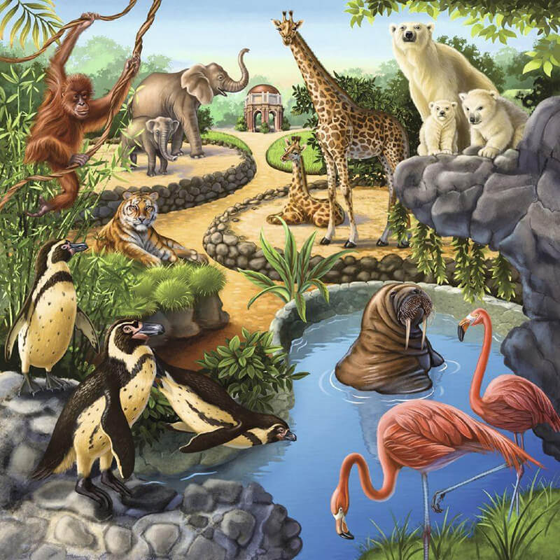 Forest/Zoo/Domestic Animals by Anne Wertheim 3x49pcs Puzzle