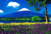 Fuji and Lavender Blooming at the Lakeside 1000pcs Puzzle