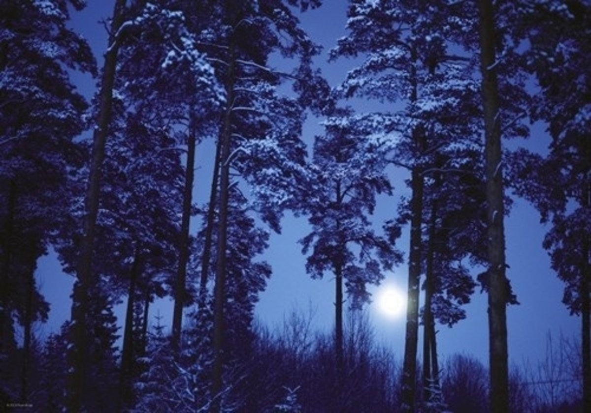 Full Moon 500pc Puzzle