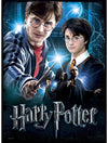Harry Potter: Harry Potter 500pc Poster Puzzle