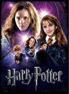 Harry Potter: Hermione Granger 500pc Poster Puzzle