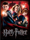 Harry Potter: Hogwarts School 500pc Poster Puzzle