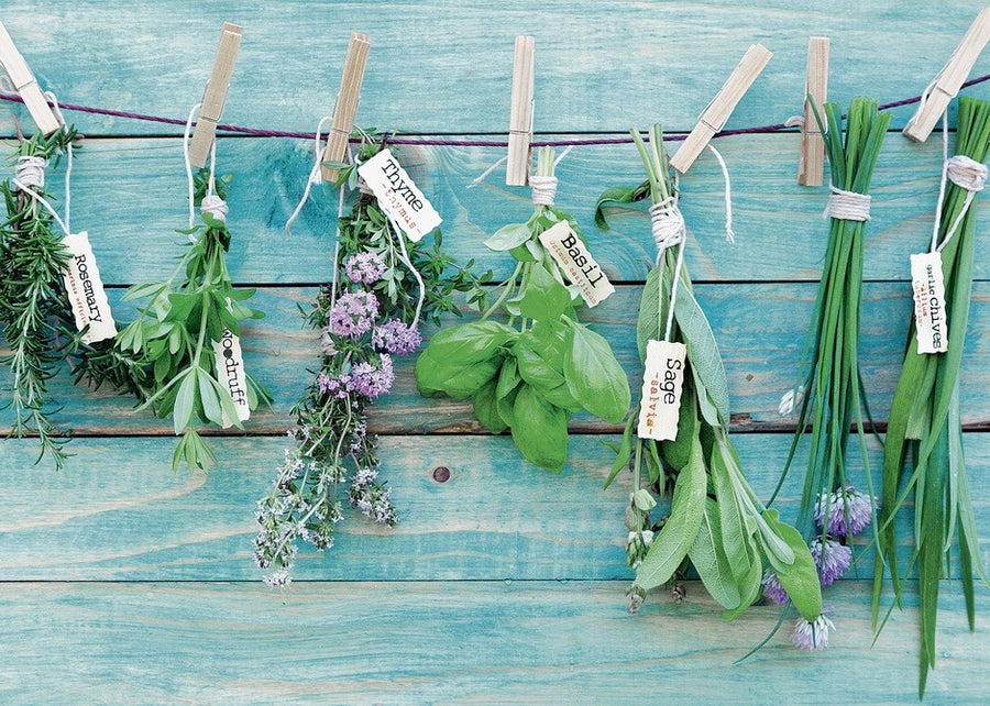 Herb Garden 1000pcs Puzzle