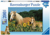 Horse Happiness by Sabine Stuewer 200pcs Puzzle