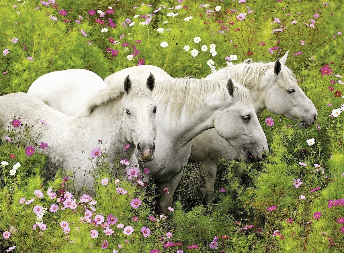 Horses in a Field of Flowers 300pcs Puzzle