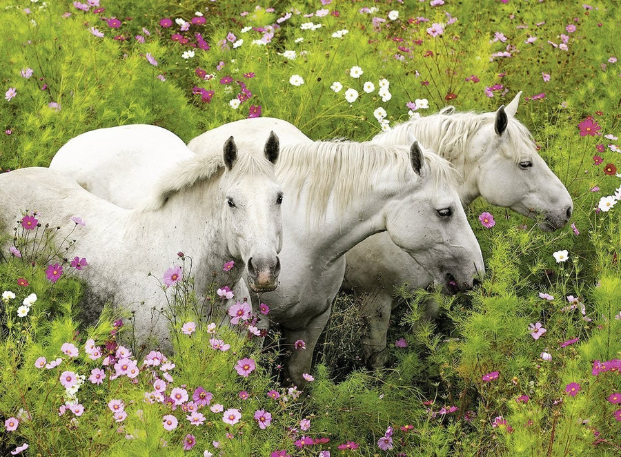 Horses in a Field of Flowers 300pcs Puzzle