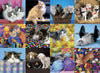 Kitten Collage 300pcs Puzzle