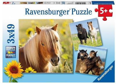 Loving Horses 3x49pcs Puzzle