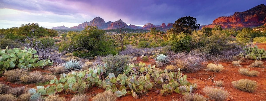 Magical Desert 1000pcs Puzzle