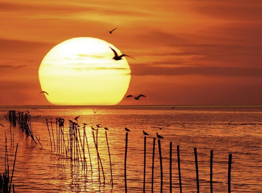 Magical Sunset 500pcs Puzzle