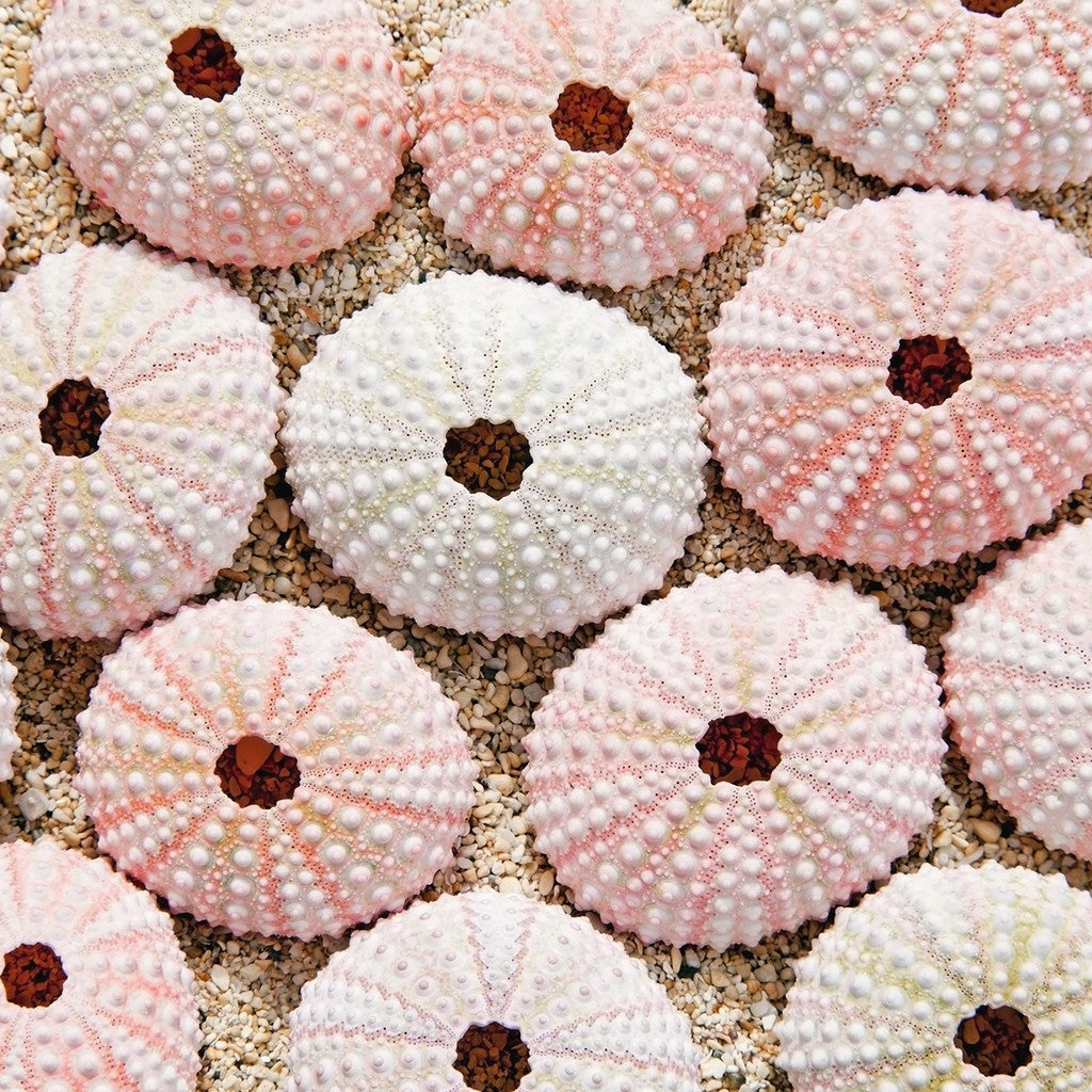 Maritime Impressions 3x500pcs Puzzle