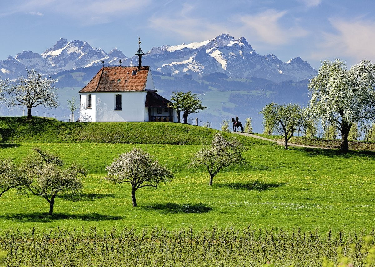Mountains at Lake Constance 1000pcs Puzzle