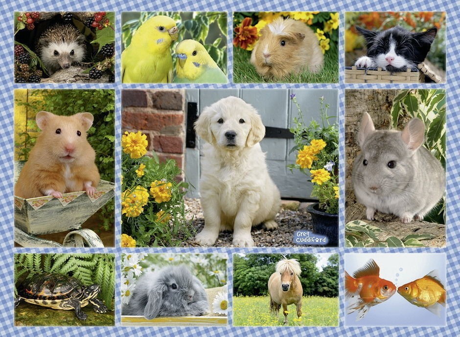 My First Pet 200pcs Puzzle