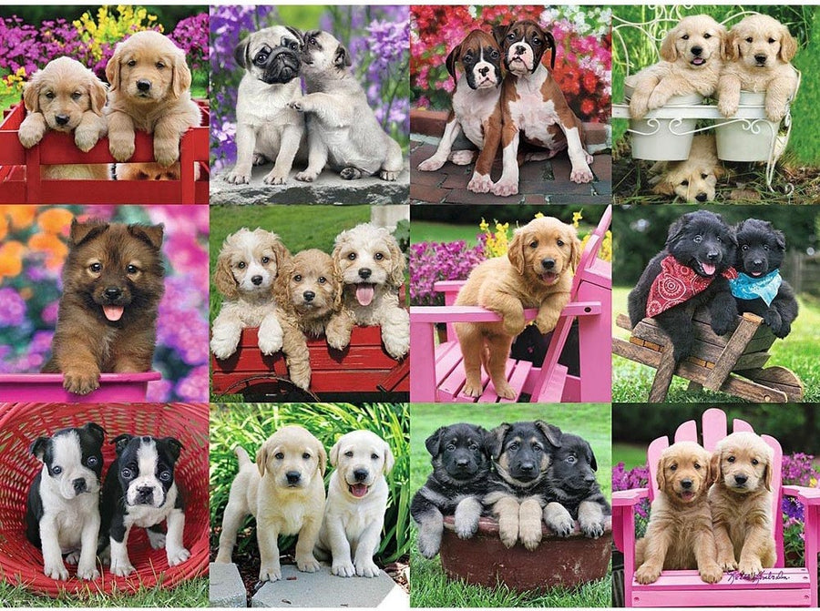 Puppy Pals 500pcs Puzzle