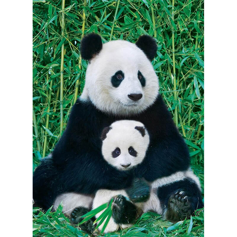 Panda and Baby 1000pc Puzzle