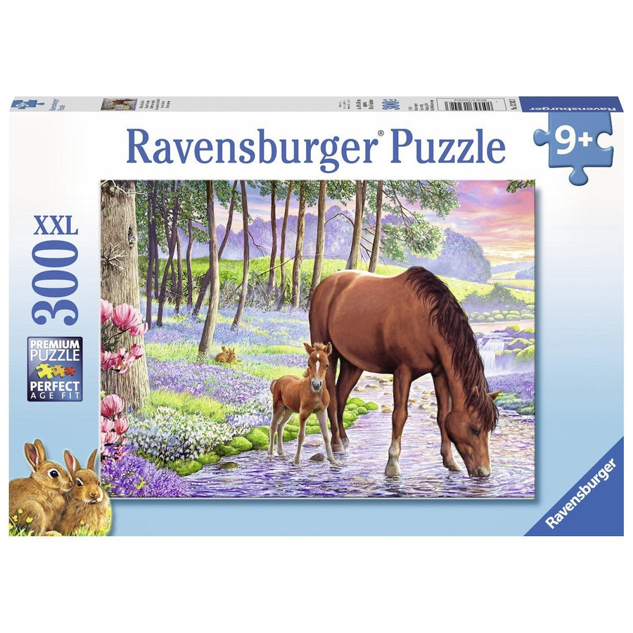 Serene Sunset 300pcs Puzzle