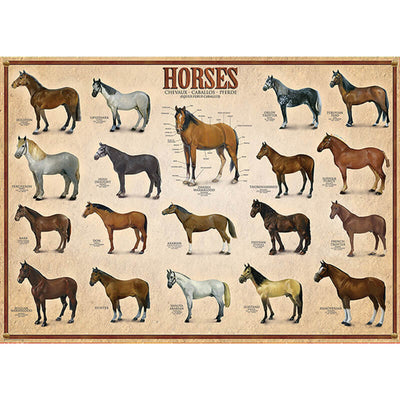 Horses 1000pc Puzzle