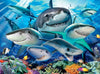 Smiling Sharks by Howard Robinson 300pcs Puzzle