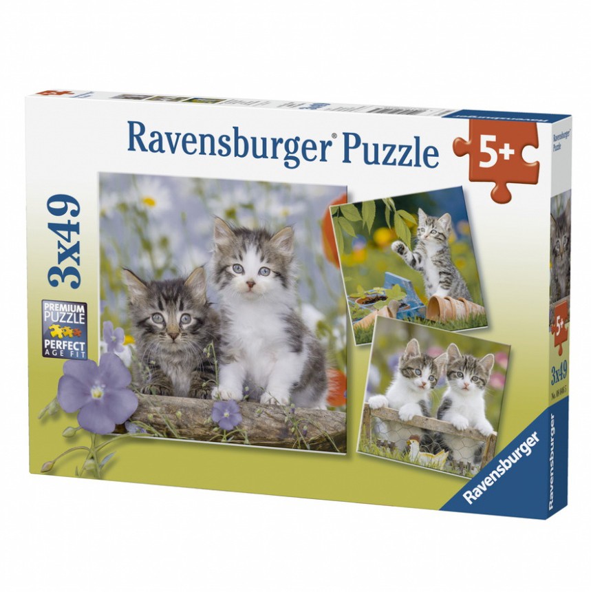 Tiger Kittens 3x49pcs Puzzle