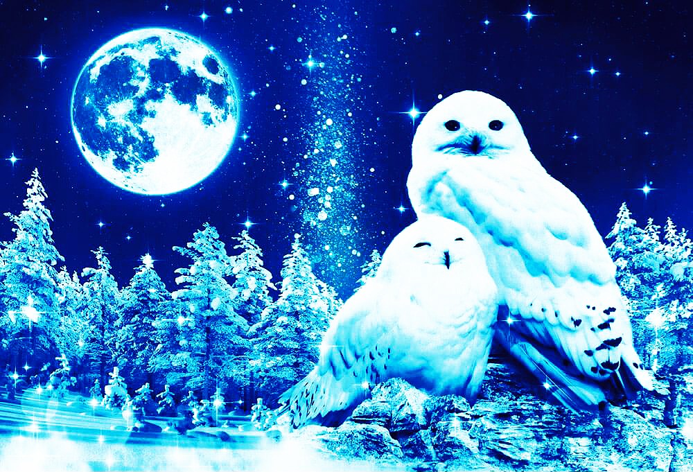 White Owls (Glow in the Dark) 1000pcs Puzzle