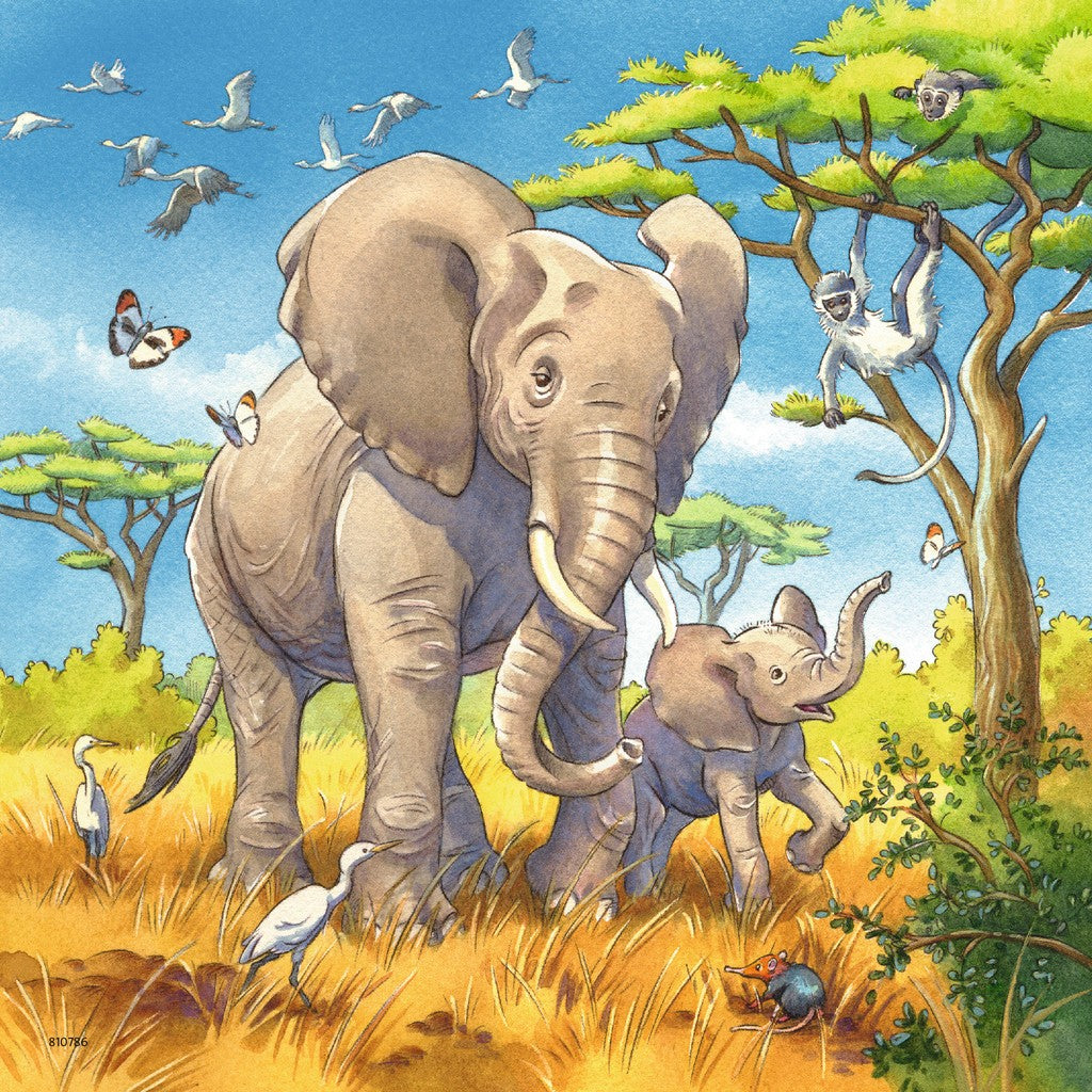 Wild Animals by Ute Simon 3x49pcs Puzzle